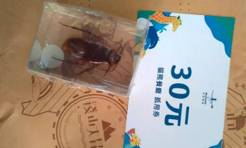 台北動物園刮刮樂中獎！她打開愣爆：精美蟑螂標本　真實價格震撼
