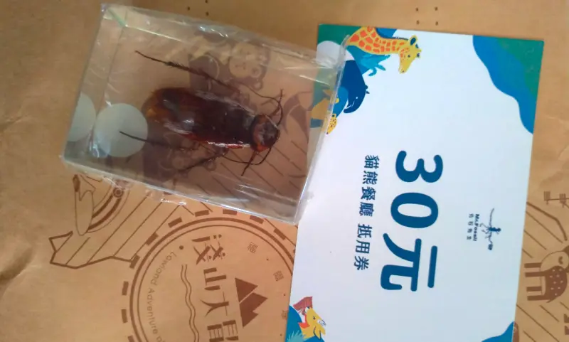 台北動物園刮刮樂中獎！她打開愣爆：精美蟑螂標本　真實價格震撼
