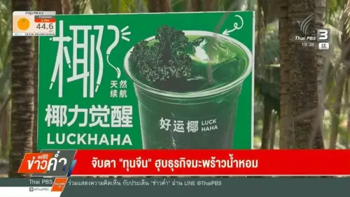 中國帶衰？泰國香水椰子遇危機　中資壓價讓農民每顆僅賣1元
