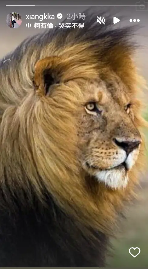 ▲胡凱翔限時動態搭配柯有倫的〈哭笑不得〉，低調表達心境。（圖／胡凱翔IG@xiangkka）