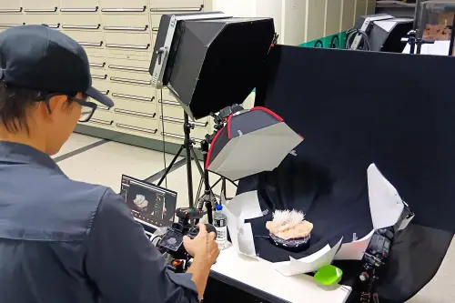 科博館領先全球導入3DGS 精選典藏網提供視覺饗宴