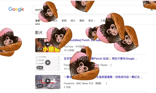 ▲在Google搜尋欄輸入「punch the monkey」，就會有愛心造型的Panchi君插圖從畫面上方飄落。（圖／翻攝網路）