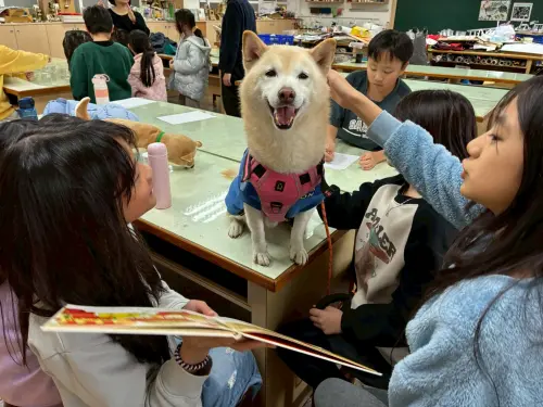 房市／信義房屋社區一家「說故事給狗聽」培養表達力