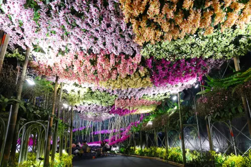 ▲ 展場各式蘭花爭奇鬥豔，令人目不暇給。（圖／南市府提供）