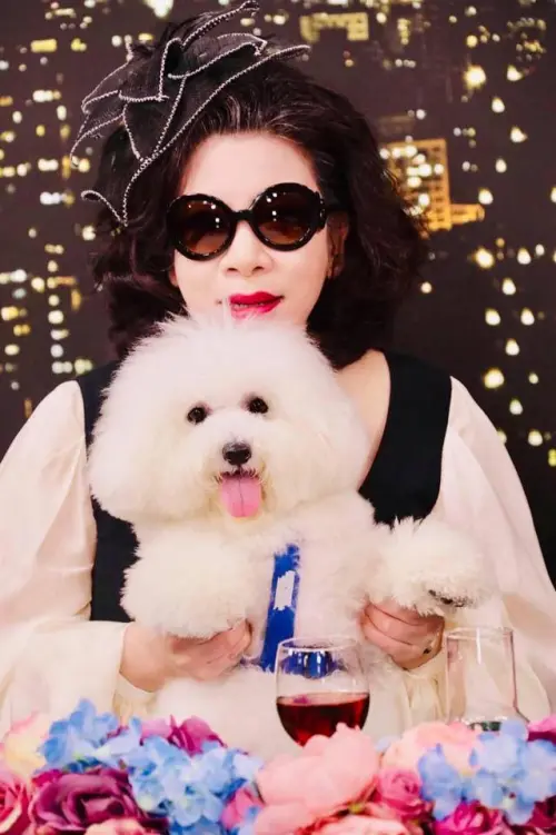 ▲資深媒體人陳文茜（後）因病痛積極治療，暫時將愛犬忽忽（前）送往能照顧他的家庭。（圖／翻攝自文茜的世界週報臉書）