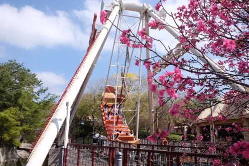 ▲針對228連假，麗寶樂園推出優惠。（示意圖／麗寶樂園提供https://www.facebook.com/LihPaoLand/）