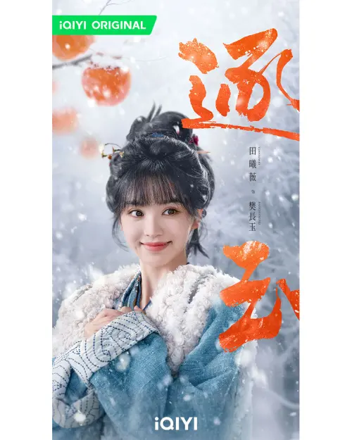 ▲田曦薇在《逐玉》飾演勇敢堅毅的屠戶女「樊長玉」。（圖／愛奇藝國際版提供）