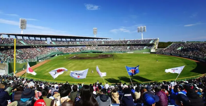 ▲宮崎不只是日本職棒春訓重鎮，更是WBC經典賽官辦熱身賽地點。從老字號名店到球星御用燒肉店，這座城市的味蕾與棒球記憶緊緊相連。（圖／取自みやざき観光ナビ 宮崎県公式観光サイト）