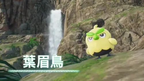 ▲《寶可夢 風與波》草系御三家葉眉鳥。（圖／寶可夢公司）