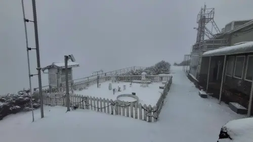 快訊／228連假玉山下雪了！雪深4公分、持續降雪中　體感溫剩-2℃