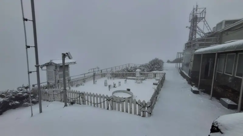 快訊／228連假玉山下雪了！雪深4公分、持續降雪中　體感溫剩-2℃