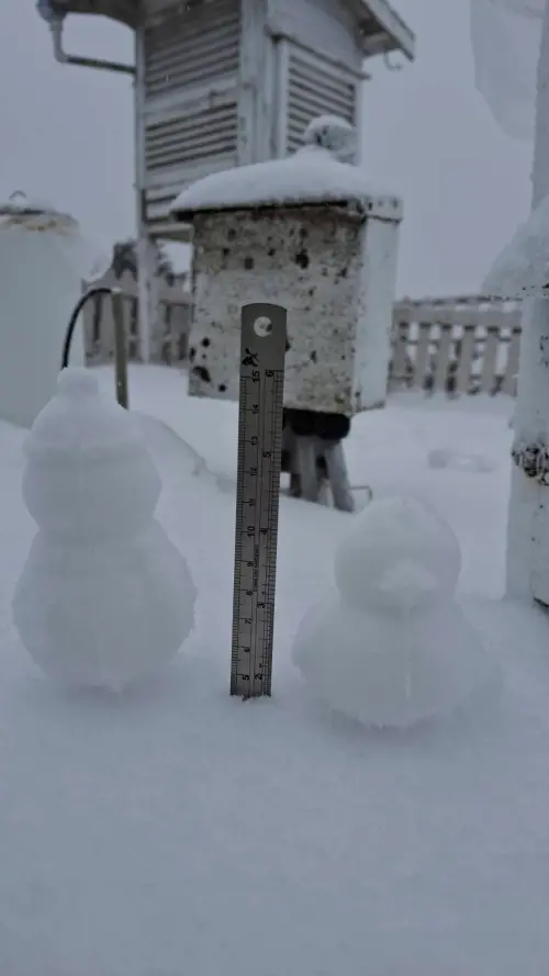▲玉山氣象站自清晨7點10分開始降雪，且目前仍持續下雪中，截至上午10點雪深已經達到4公分。（圖／中央氣象署cwa.gov.tw）