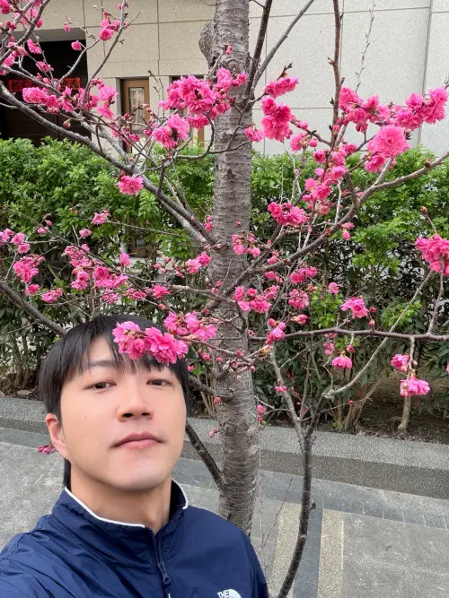 ▲江宏傑曬出自己賞櫻的照片。（圖／江宏傑 Chiang Hung-Chieh 臉書）