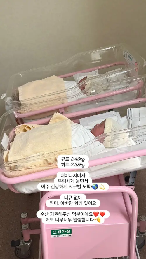 ▲韓國女團Crayon Pop成員超娥生下雙胞胎男寶寶，享受成為人母的喜悅。（圖／翻攝自超娥IG@minjinchoa）