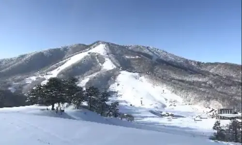 日本斑尾高原滑雪場雪崩！5人遭埋獲救　2台灣遊客受傷送醫

