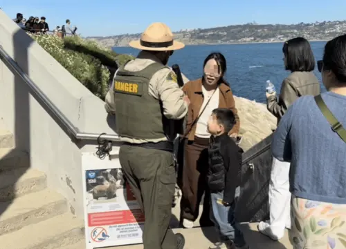 丟石挑釁海獅！中國家庭拉霍亞灣遭驅逐　無視巡邏員制止引公憤