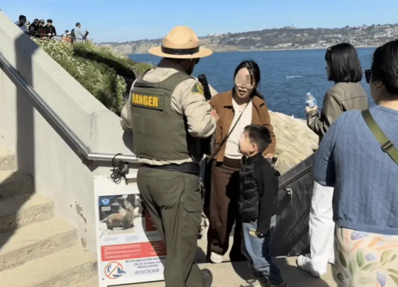 丟石挑釁海獅！中國家庭拉霍亞灣遭驅逐　無視巡邏員制止引公憤