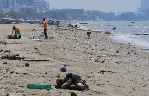 海浪帶來的「塑膠海嘯」！芭達雅海灘廢棄物綿延數里嚇跑遊客