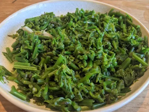 ▲過貓在民間傳統中常用於退燒、止咳與改善腸胃不適。（圖／農業部）