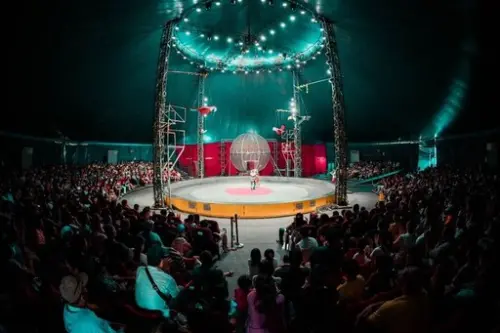 從1.5層樓高處墜落！后里馬場馬戲團出事　15歲外籍少年骨折送醫