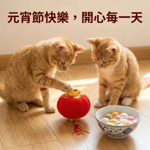 ▲2026元宵節快樂圖片、早安圖，《NOWNEWS》祝您佳節愉快。（圖／AI生成）