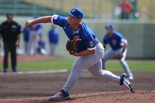 ▲中華隊胡智爲。（圖／記者葉政勳攝）