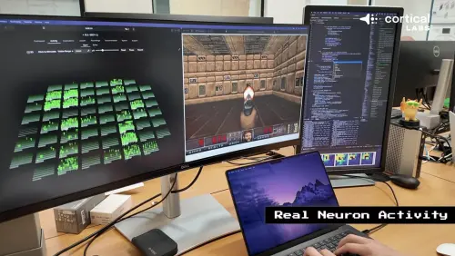 不是科幻片！活體腦細胞玩《毀滅戰士》畫面出爐：會找敵人、射擊