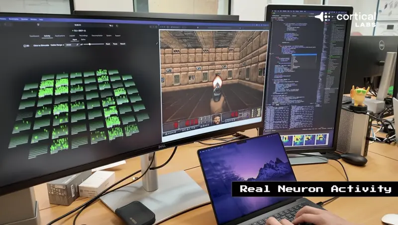 不是科幻片！活體腦細胞玩《毀滅戰士》畫面出爐：會找敵人、射擊