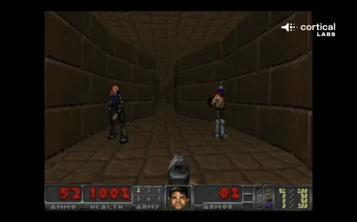 ▲「細胞玩家」能夠展現出尋找敵人、轉向與射擊等行為跡象。（圖／Cortical Labs YouTube）