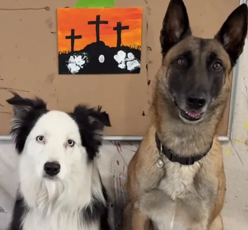 ▲Lucky（左）與師兄Monkey（右）合力繪製出「夕陽下的十字架」。（圖／IG@omarvonmuller）