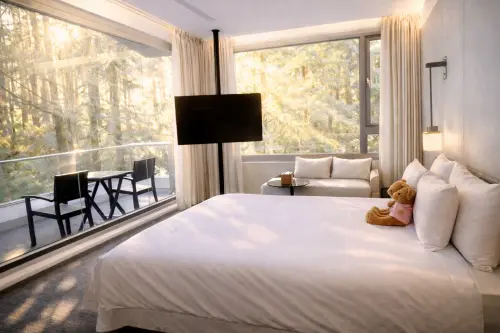 ▲阿里山賓館全新打造再升級6間森林、雲霧的客房。（圖／阿里山賓館提供 www.alishanhotel.com.tw/）