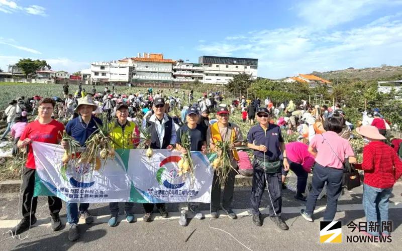 體驗拔洋蔥的樂趣！台電公司大林發電廠舉辦林園親子拔洋蔥活動