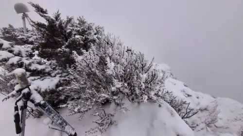 ▲玉山氣象站今天清晨最低氣溫來到零下1.4度，濕度高達100％，從昨晚開始出現降雪。（圖／氣象署玉山氣象站提供）