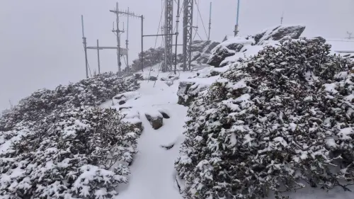 ▲玉山氣象站上午雪勢停止，觀測儀器、地面都被白雪覆蓋，植物上則有結冰、霧淞出現。（圖／氣象署玉山氣象站提供）