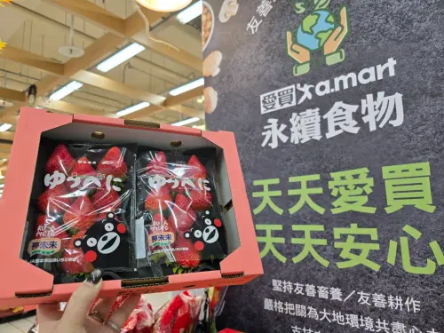 草莓價跌了！賣場整盒不用100元　1公斤高麗菜29元、青菜買一送一