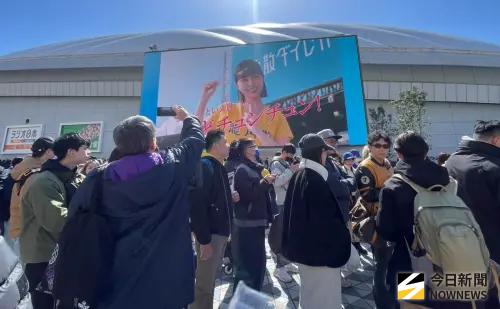 WBC經典賽今開打！峮峮搶先登東京巨蛋螢幕　粉絲驚呼：台灣之光