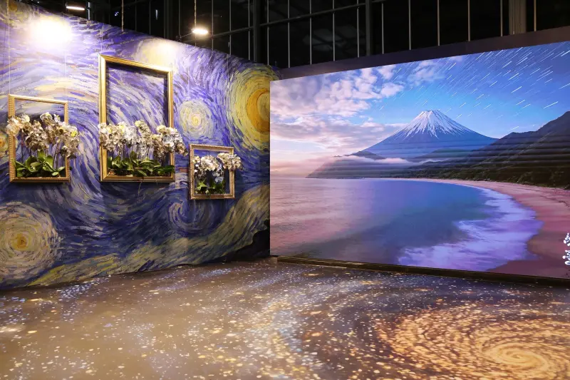 揭臺灣災後生命進化旅程　國際蘭展綻放館4亮點必逛