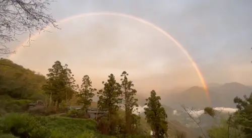 好大的彩虹！傍晚太陽突露臉　超巨虹霓金光中現身清境農場