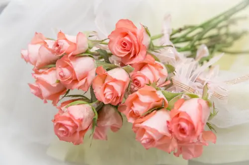 ▲婦女節慶祝方式多元，世界各地都會有不同的慶祝儀式，不少國家都會在這天送鮮花紀念。（圖／取自pixabay）