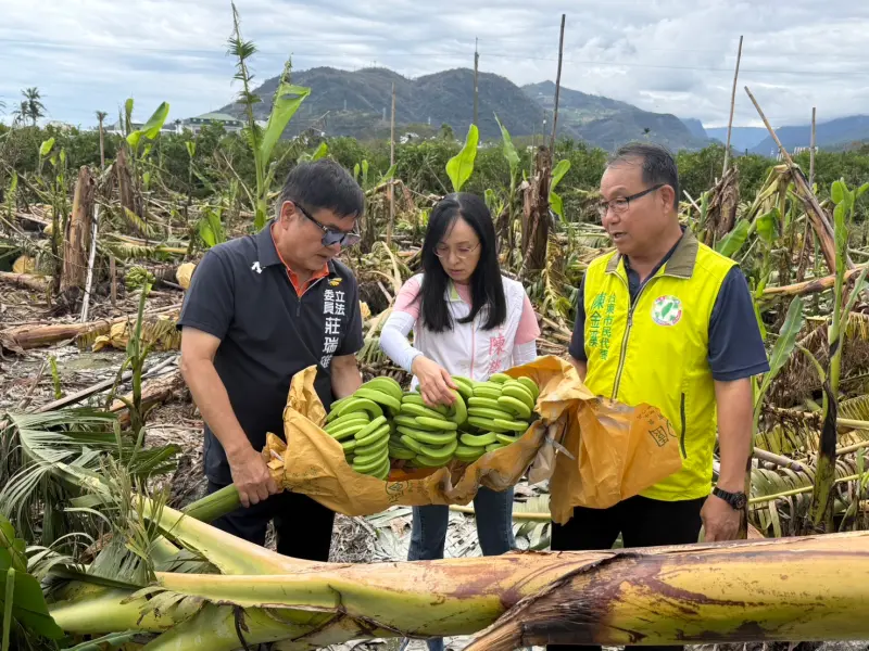 台東國有耕地「租金減收7成」！近萬戶農民受惠　2綠委：共度難關