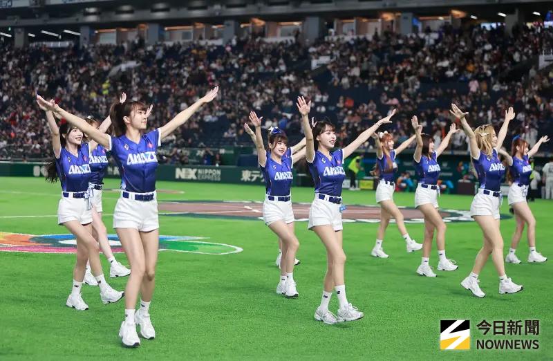 中華隊WBC終拿首勝！日本吐真心話：真的好羨慕台灣球迷和啦啦隊