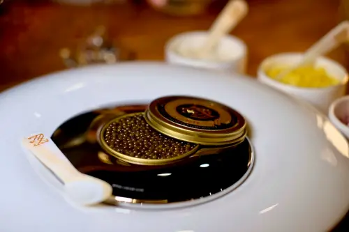 年銷12噸魚子醬！Royal Caviar Club來台開實體旗艦店 3/13試營運