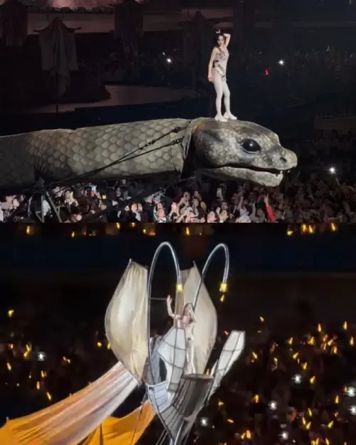 ▲蔡依林在台北大巨蛋上展示的巨蟒裝置，到中國被改成「愉悅之舟」。（圖／微博＠長谷川細作）