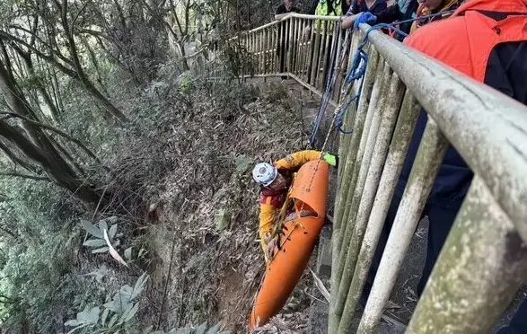 彰化八卦山登山步道意外　70歲男跌落「13層樓深」山谷不治