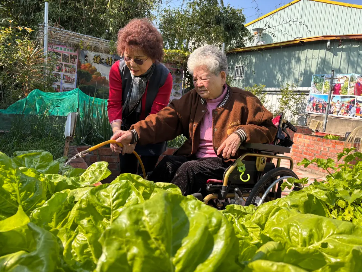 ▲台中豐原區鎌村社區發展協會，打造專屬據點長者的不彎腰療癒菜園等，獲衛生福利部頒予「金點英雄獎」。（圖／社會局提供）(1380.66 kb)