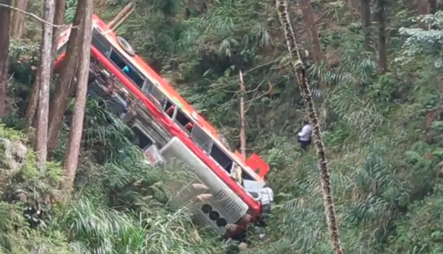 杉林溪遊園巴士墜谷！遊客憶「去年差點衝出山谷」怕爆：真是命大