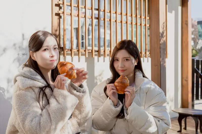 星宇邀南珉貞、李晧禎任釜山航線大使！私房名單曝　再抽來回機票