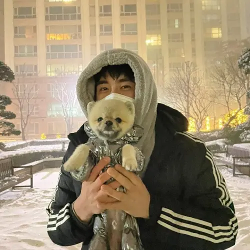 ▲▼李政厚相當疼愛愛犬KAO，不只會帶他散步、看夕陽，天冷還會幫KAO穿外套。（圖／이정후 Jung Hoo Lee IG@hoohoohoo__）