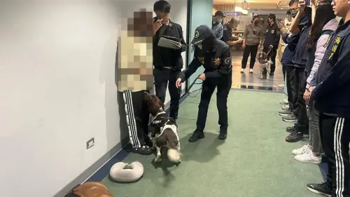 為賺5萬鋌而走險！2女下體藏海洛因球入境　桃機被緝毒犬逮正著
