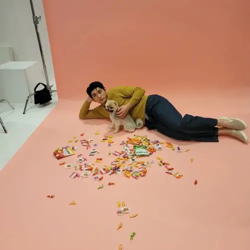 ▲▼李政厚相當疼愛愛犬KAO，不只會帶他散步、看夕陽，天冷還會幫KAO穿外套。（圖／이정후 Jung Hoo Lee IG@hoohoohoo__）